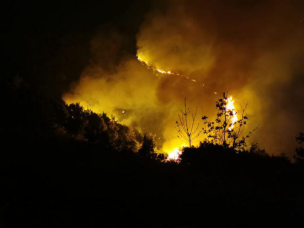 1568710040.png image.png